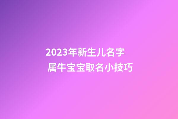2023年新生儿名字 属牛宝宝取名小技巧